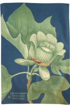 Load image into Gallery viewer, Liriodendron Tulipifera Tulip Tree Antique Print Tea Towel c1818 FREE POSTAGE