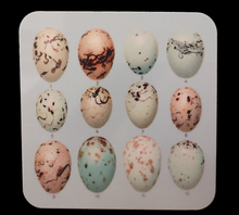 Load image into Gallery viewer, Melamine Coaster Drinks Mat Antique Egg Illustration