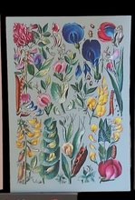 Load image into Gallery viewer, Sweet Peas on Mint Green Background late 18thC Botanical Design Tea towel