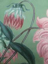 Load image into Gallery viewer, Dahlia Pinnata Nana by HG Andrews 1797 Antique Print Tea Towel on Green Background FREE POSTAGE