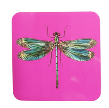 Load image into Gallery viewer, Coaster Drinks Mat Antique Print Dragonfly Melamine