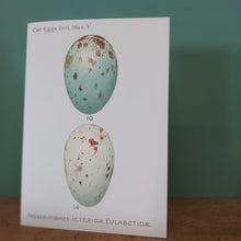 Load image into Gallery viewer, Eggs Antique Print Greetings Card with Envelope c1901