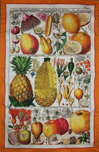 Load image into Gallery viewer, Exotic Fruit Tea Towel Antique Botanical Print 100% Cotton Bright Orange Border