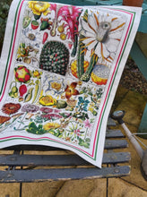 Load image into Gallery viewer, Tea Towel Antique Botanical Print Colourful 18thC Cactus Flowers Luxury Cotton Gift Kitchen linen