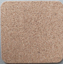 Load image into Gallery viewer, Coaster Drinks Mat Antique Print Dragonfly Melamine