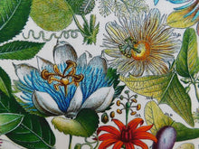 Load image into Gallery viewer, Passionflower Antique Botanical Print Tea Towel Green border

