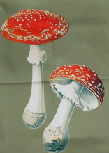 Load image into Gallery viewer, Amanita Muscaria Mushroom Olive Tea Towel, Illustration from Leon Dufour 1891