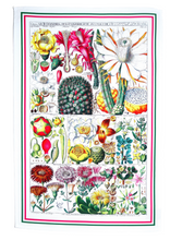Load image into Gallery viewer, Antique Botanical Cactus Print Tea Towel Luxury 100% Cotton UK Made