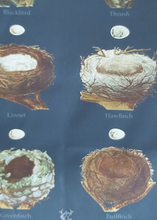 Load image into Gallery viewer, Bird Nests Antique Print Tea Towel Navy Background 1890s Ornithology
