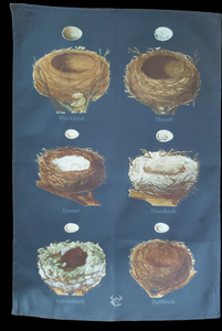 Bird Nests Antique Print Tea Towel Navy Background 1890s Ornithology