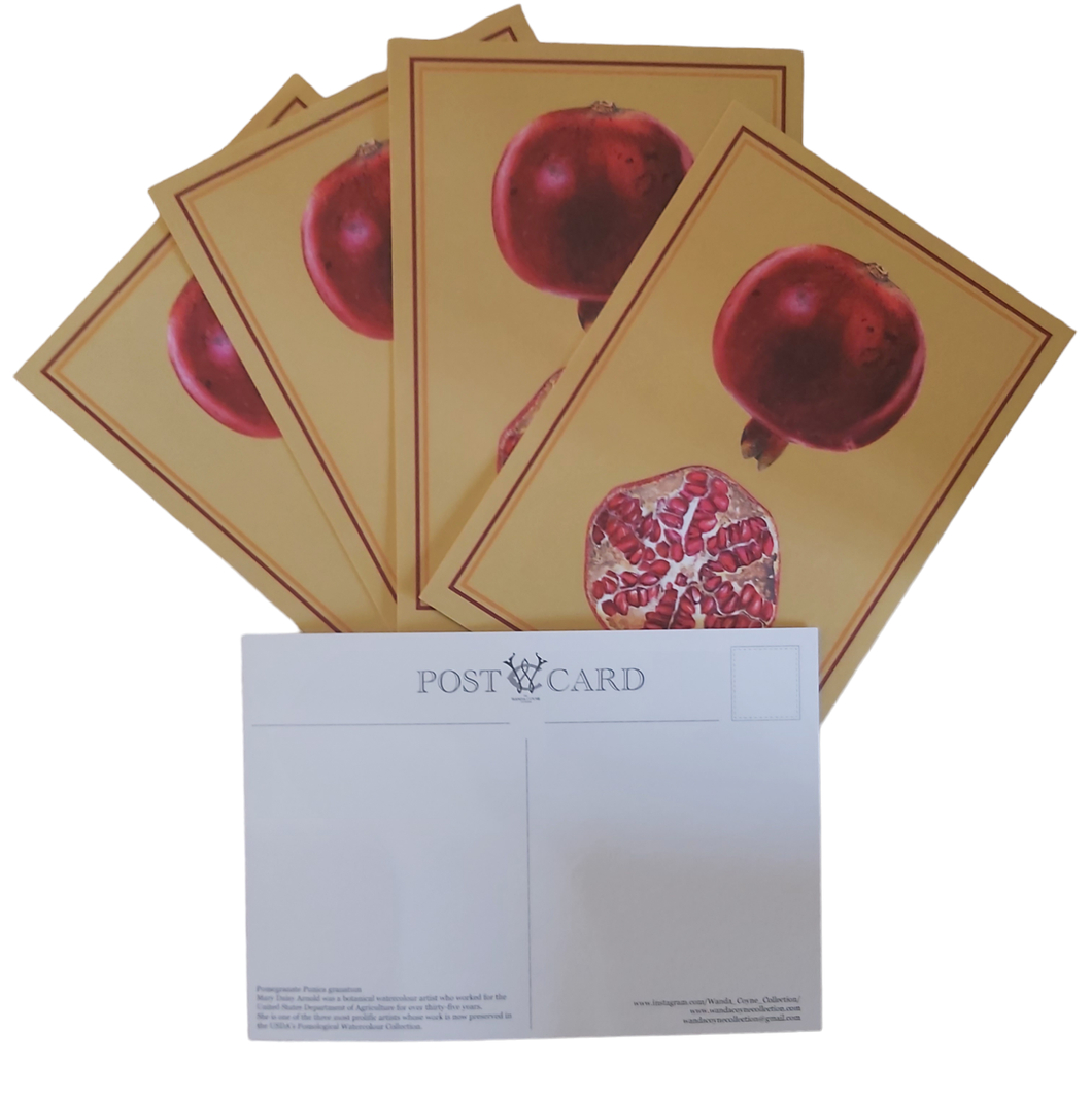 5 x Pomegranate Antique Print Postcards