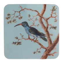 Load image into Gallery viewer, Coaster Drinks Mat 16thC Hummingbirds Duck Egg Blue Melamine
