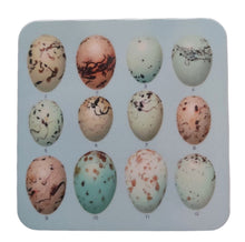 Load image into Gallery viewer, Melamine Coaster Drinks Mat Antique Egg Illustration

