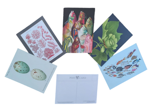 5 x Antique Illustration Postcards Egg, Coral, Colourful Fish, Tulip Tree, Fantastical Fish