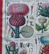 Load image into Gallery viewer, Thistle Antique Print Tea Towel 100% Cotton
