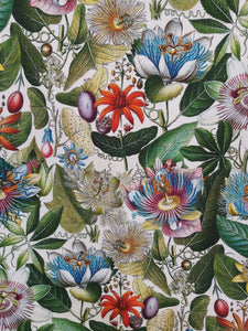 Passionflower Antique Botanical Print Tea Towel Cerise Border