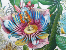 Load image into Gallery viewer, Passionflower Antique Botanical Print Tea Towel Green border
