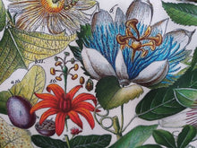Load image into Gallery viewer, Passionflower Antique Botanical Print Tea Towel Cerise Border
