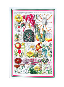 Tea Towel Antique Botanical Print Colourful 18thC Cactus Flowers Luxury Cotton Gift Kitchen linen