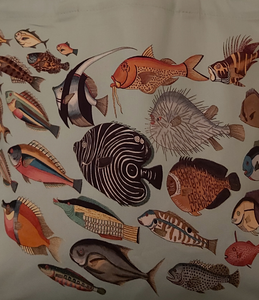 Antique Print Tote Bag Multicoloured Shoal of Unusual Fish