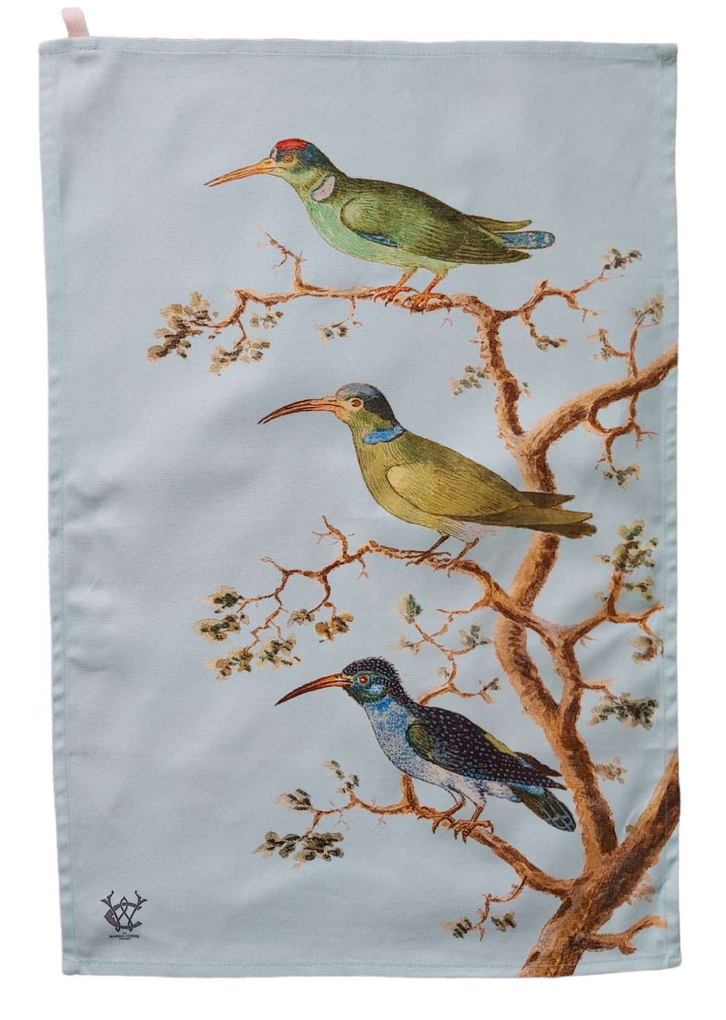 Anselmus de Boodt 1596 Honeysucker Sunbird design Tea Towel 100% Cotton UK Made