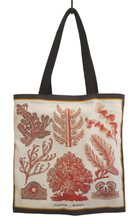 Load image into Gallery viewer, Coral &amp; Algae Tote Bag Antique Botanical Print
