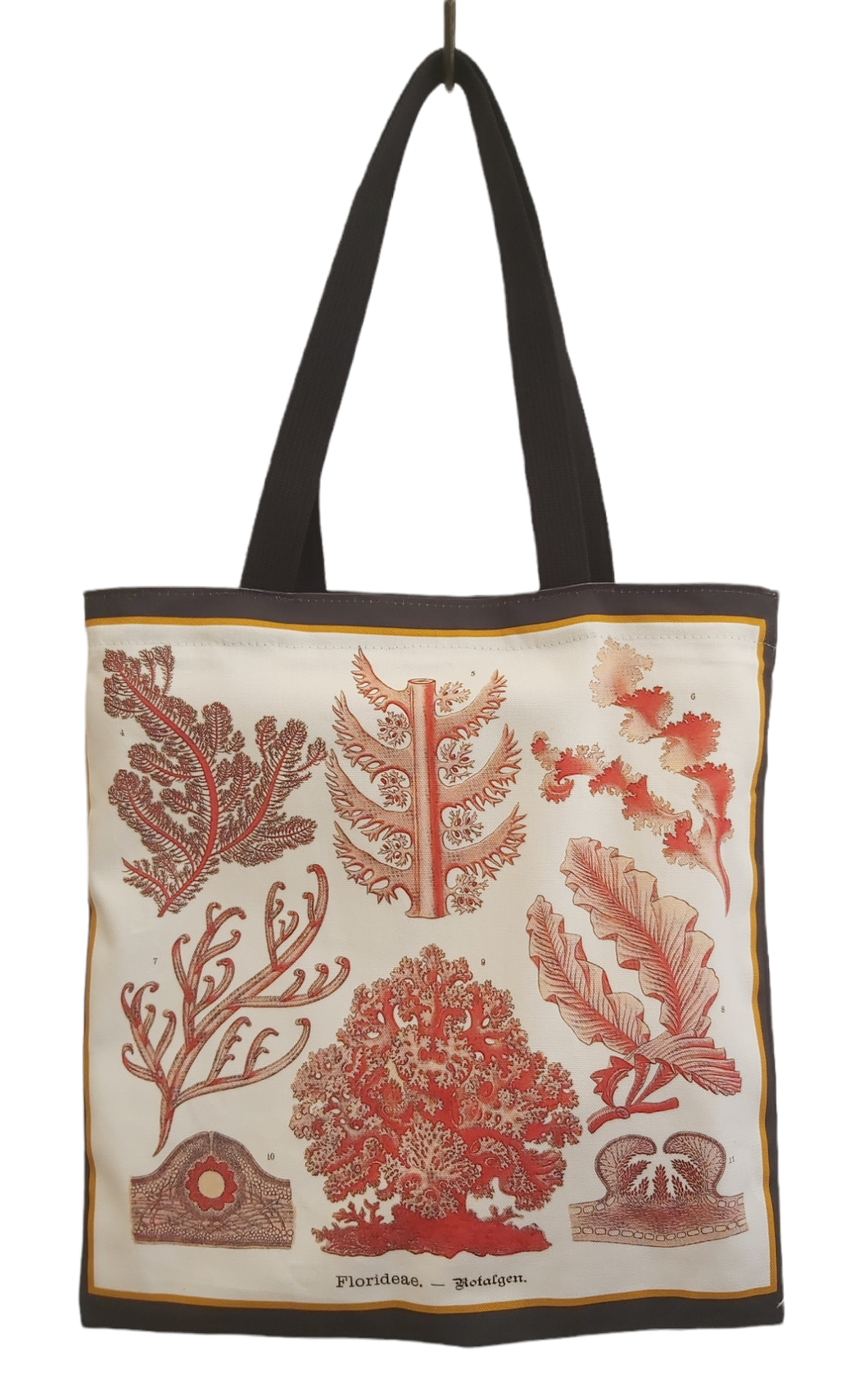 Coral & Algae Tote Bag Antique Botanical Print
