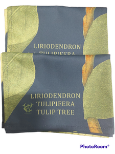 Liriodendron Tulipifera Tulip Tree Antique Print Tea Towel c1818