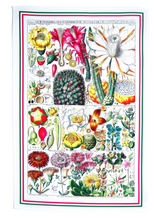 Load image into Gallery viewer, Antique Botanical Cactus Print Tea Towel Luxury 100% Cotton UK Made
