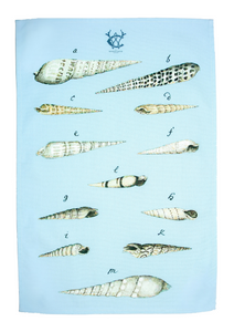 Mid 1700s Spire Mollusc Pale Blue Tea Towel SALE