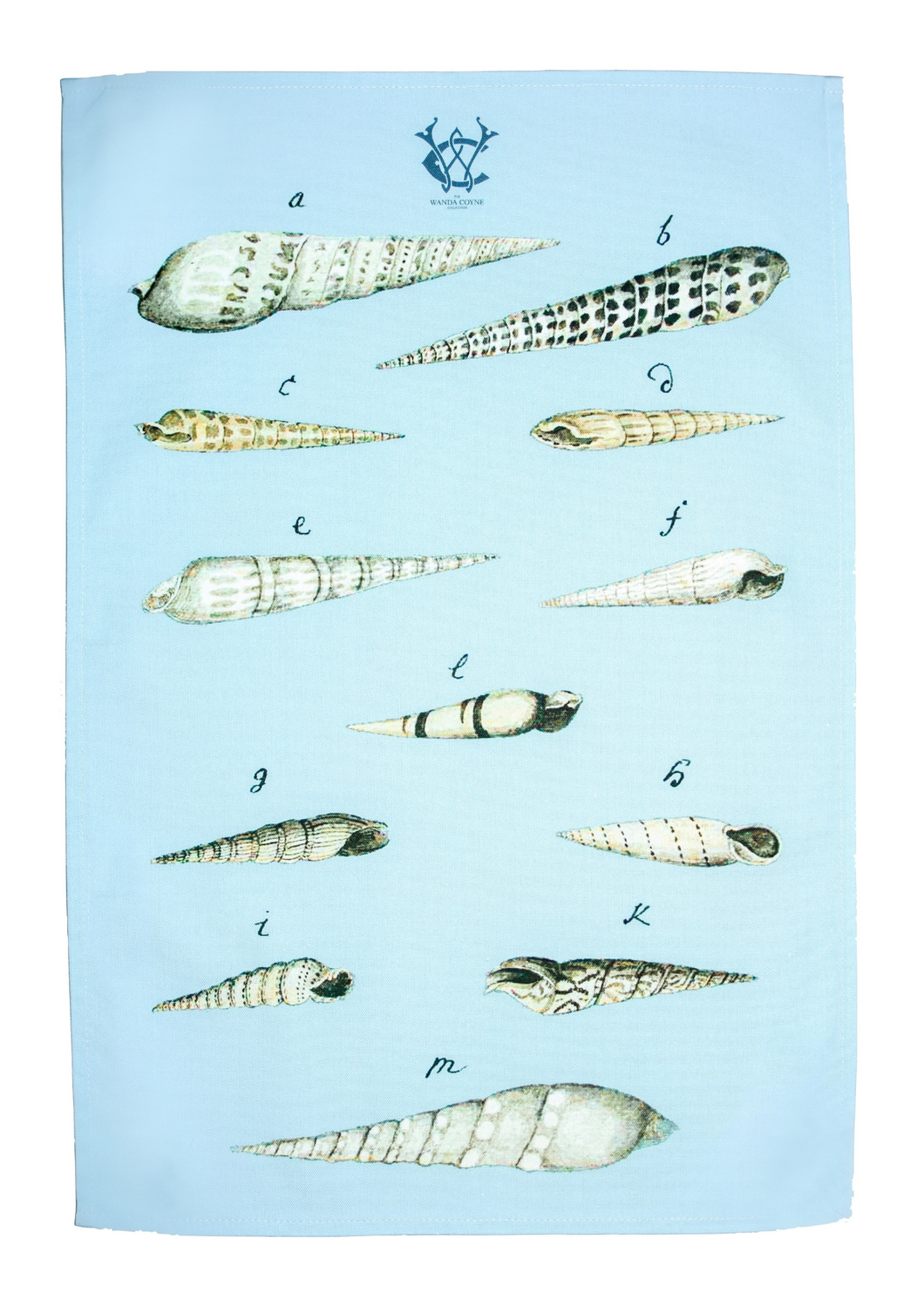 Mid 1700s Spire Mollusc Pale Blue Tea Towel