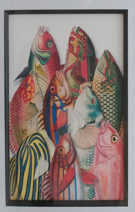 Museum Quality A3 Print Antique Based Collection of Fish