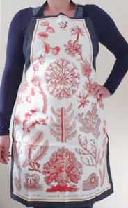 Red Sea Coral & Algae Apron Antique Print Charcoal Edge