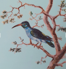 Load image into Gallery viewer, Coaster Drinks Mat 16thC Hummingbirds Duck Egg Blue Melamine
