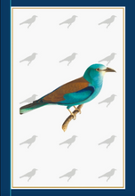 Load image into Gallery viewer, Museum Quality A3 Print European Roller Turquoise Blue Bird
