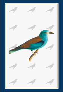 Museum Quality A3 Print European Roller Turquoise Blue Bird