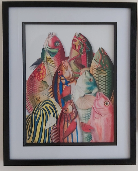 Museum Quality A3 Print Antique Based Collection of Fish