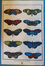Load image into Gallery viewer, Luxury Tea Towel Antique Butterfly Print Blue
