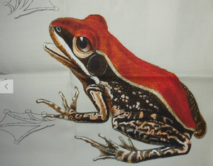 Frog & Toad Print Tea Towel Luxury Cotton Gift UK Made