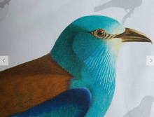Load image into Gallery viewer, Museum Quality A3 Print European Roller Turquoise Blue Bird
