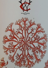 Load image into Gallery viewer, Coral &amp; Algae Tote Bag Antique Botanical Print
